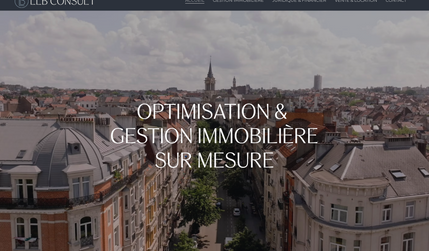 LLB Consult: identité visuelle + web design on Wix Studio