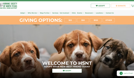 HSNT: 