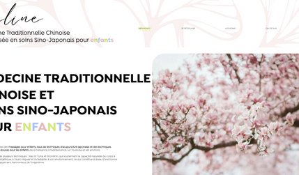 CELINE MARQUES: Conception du site de Céline Marques, médecine traditionnelle chinoise pour les enfants à Toulouse. Revalorisation de sa charte graphique. 