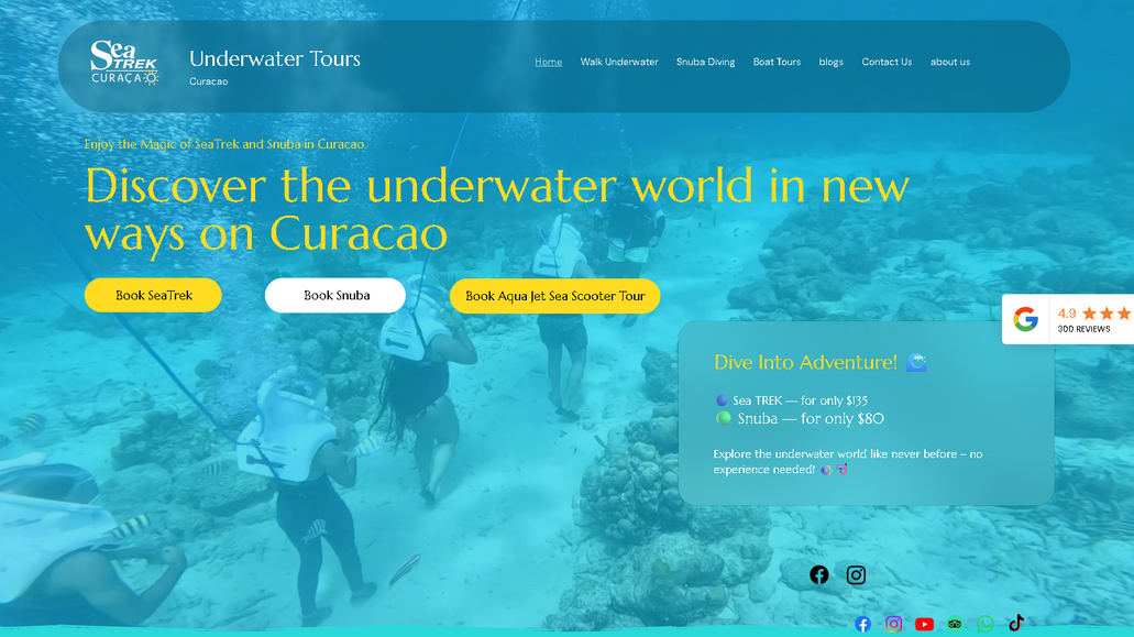 Under Water Tours: A SeaTrek franchisee in Curacao's website, which has booking, database, custom elements. custom forms, admin panel. SEO is also managed by us.