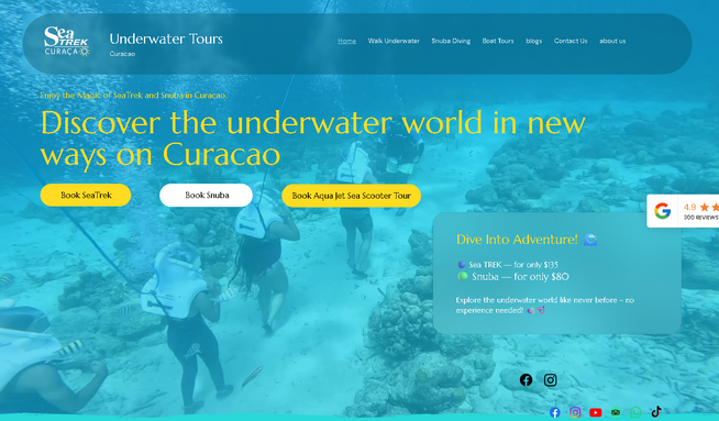 Under Water Tours: A SeaTrek franchisee in Curacao's website, which has booking, database, custom elements. custom forms, admin panel. SEO is also managed by us.