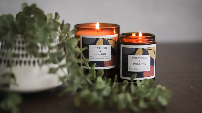 Feathers & Fellows: undefined