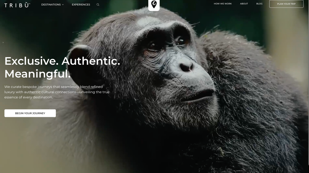 Tribù Travel: Luxury Travel Agency Website: Tribù Travel: Luxury Travel Agency Website
Illustrated Domain partnered with Tribù Travel to design and build a luxury travel website that captures the editorial sophistication and global reach of the brand. Developed in Wix Studio, the new site blends cinematic visuals, refined typography, and immersive content architecture to showcase bespoke journeys, experiences, and destinations across all seven continents. We built an interconnected system of dynamic regional and country databases, powering hundreds of automatically linked pages—each optimized for SEO and editorial storytelling. The navigation includes custom-coded dynamic menus that update automatically as new destinations or itineraries are added, ensuring both elegance and efficiency at scale.

Editorial copy meets technical precision
Our team handled every stage—from concept and UX planning to full copywriting, CMS development, and launch. The content strategy unified brand voice and SEO goals, balancing luxury tone with clarity and search performance. We also provided training for Tribù’s team to independently manage destinations, itineraries, and experience collections via the database. The result is a global travel platform with magazine-quality storytelling and technical flexibility—positioning Tribù Travel as a high-end brand for discerning travelers.

Services Provided:
Full Website Design & Build • Copywriting  • Custom-Coded Dynamic Menus • Multi-level CMS Architecture (Regions, Countries, Itineraries, Experiences) • SEO & Metadata Strategy • UX & Content Structure • Video & Image Sourcing • Responsive Design QA • Content Governance & CMS Training • Launch Support