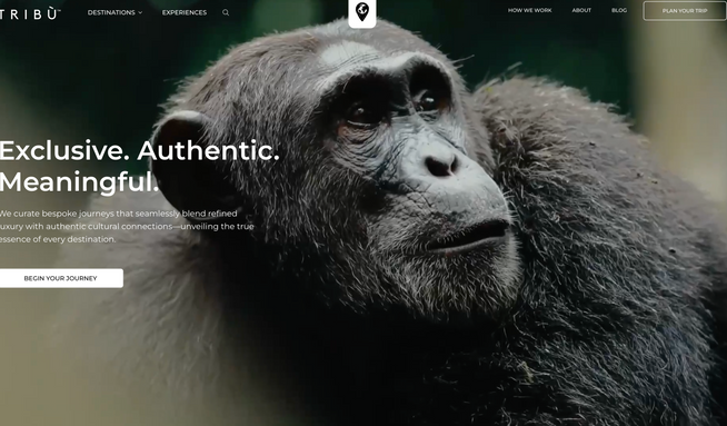 Tribù Travel: Luxury Travel Agency Website: Tribù Travel: Luxury Travel Agency Website
Illustrated Domain partnered with Tribù Travel to design and build a luxury travel website that captures the editorial sophistication and global reach of the brand. Developed in Wix Studio, the new site blends cinematic visuals, refined typography, and immersive content architecture to showcase bespoke journeys, experiences, and destinations across all seven continents. We built an interconnected system of dynamic regional and country databases, powering hundreds of automatically linked pages—each optimized for SEO and editorial storytelling. The navigation includes custom-coded dynamic menus that update automatically as new destinations or itineraries are added, ensuring both elegance and efficiency at scale.

Editorial copy meets technical precision
Our team handled every stage—from concept and UX planning to full copywriting, CMS development, and launch. The content strategy unified brand voice and SEO goals, balancing luxury tone with clarity and search performance. We also provided training for Tribù’s team to independently manage destinations, itineraries, and experience collections via the database. The result is a global travel platform with magazine-quality storytelling and technical flexibility—positioning Tribù Travel as a high-end brand for discerning travelers.

Services Provided:
Full Website Design & Build • Copywriting  • Custom-Coded Dynamic Menus • Multi-level CMS Architecture (Regions, Countries, Itineraries, Experiences) • SEO & Metadata Strategy • UX & Content Structure • Video & Image Sourcing • Responsive Design QA • Content Governance & CMS Training • Launch Support
