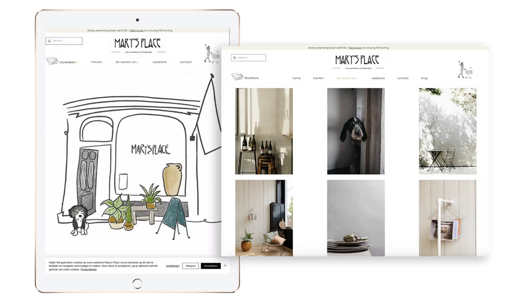 Mary's Place Store: Weekly online coaching sessions with owner Florien to develop her unique webstore together #teamwork. We both love the end product! Website design by the House, Illustrations by Romi.