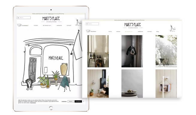 Mary's Place Store: Weekly online coaching sessions with owner Florien to develop her unique webstore together #teamwork. We both love the end product! Website design by the House, Illustrations by Romi.