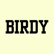 Birdy Consulting