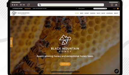 BLACK MOUNTAIN HONEY: eCommerce Store
Redesign & Rebrand
WIX Studio Website