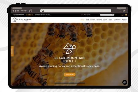 BLACK MOUNTAIN HONEY: eCommerce Store
Redesign & Rebrand
WIX Studio Website
