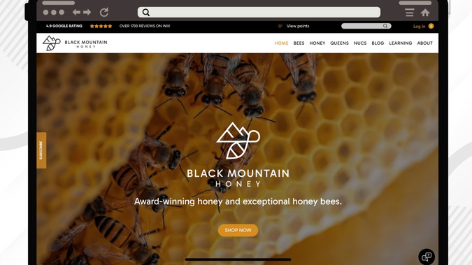 BLACK MOUNTAIN HONEY: eCommerce Store
Redesign & Rebrand
WIX Studio Website