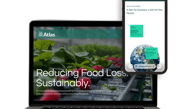 EliCeres: Web Design for a biotechnology company reimagining agriculture by turning the plant into its own best defense system