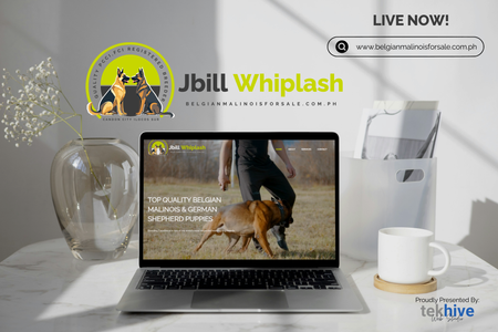 JBILL Whiplash: TekHive partnered with Jbill Whiplash, a dedicated breeder specializing in top-quality Belgian Malinois and German Shepherd puppies in the Philippines, to deliver a complete web design and web development project. We built a clean, responsive website that emphasizes their breeding excellence, showcasing services such as premium stud services, registered pedigrees, health guarantees, boarding, and preparation for stud. The site’s intuitive navigation leads visitors through sections like About, Services, Registered Pedigrees, Pricing, Gallery, FAQs, and Contact—making it easy to explore offerings and policies, and meet breeding parents like “Ella.” With a layout designed to build trust and communicate their commitment to quality and temperament, the site enhances their reputation and connects them with dog lovers seeking healthy, well-rounded pups. Proudly built by TekHive, this project highlights how strategic design and development can elevate niche services into compelling, trustworthy digital experiences.