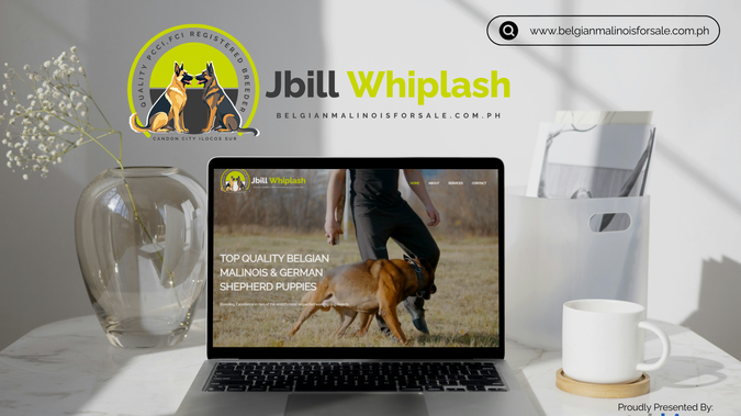 JBILL Whiplash: TekHive partnered with Jbill Whiplash, a dedicated breeder specializing in top-quality Belgian Malinois and German Shepherd puppies in the Philippines, to deliver a complete web design and web development project. We built a clean, responsive website that emphasizes their breeding excellence, showcasing services such as premium stud services, registered pedigrees, health guarantees, boarding, and preparation for stud. The site’s intuitive navigation leads visitors through sections like About, Services, Registered Pedigrees, Pricing, Gallery, FAQs, and Contact—making it easy to explore offerings and policies, and meet breeding parents like “Ella.” With a layout designed to build trust and communicate their commitment to quality and temperament, the site enhances their reputation and connects them with dog lovers seeking healthy, well-rounded pups. Proudly built by TekHive, this project highlights how strategic design and development can elevate niche services into compelling, trustworthy digital experiences.