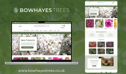 Bowhayes Trees: An elegant and high-performing e-commerce website created for Bowhayes Trees, a specialist nursery offering trees, hedging, and plants. The design delivers a seamless shopping experience with structured collections, dynamic filtering, and clear seasonal promotions. Built to support both retail and trade customers, the site balances beautiful visuals with strong functionality—making it easy for customers to explore, learn, and purchase with confidence.
