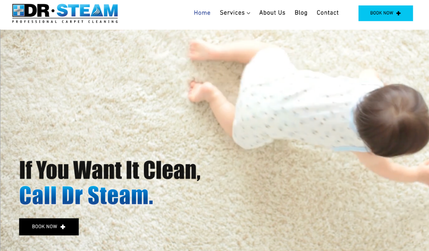Dr Steam Professional Carpet Cleaning: Carpet cleaning company, CMS portfolio, integrated with 3rd party booking system. SEO and branding package.
