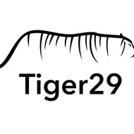 Tiger29 - Sioux Falls SEO