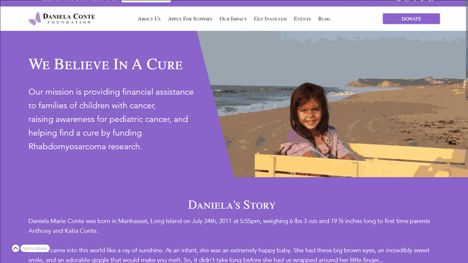 Daniela Conte Foundation | Editor X: 36 Page site with custom ticketing setup, custom sponsorship sales pipeline, custom event type pillar-page development, mobile UI design