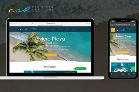 Caribbean Sea Tours: Web avanzada para agencia de viajes en el Caribe Mexicano.