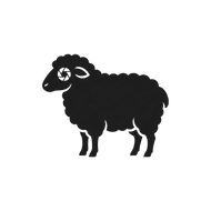 BLACK SHEEP APS