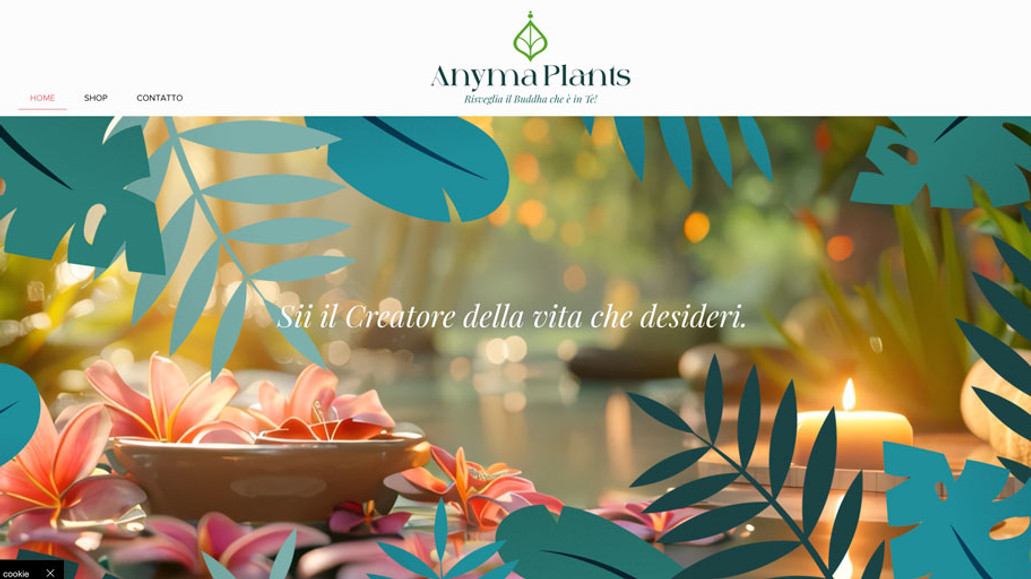 Anyma Plants: Logo design e sito vetrina per negozio e centro olistico di Busto Arsizio (VA) 