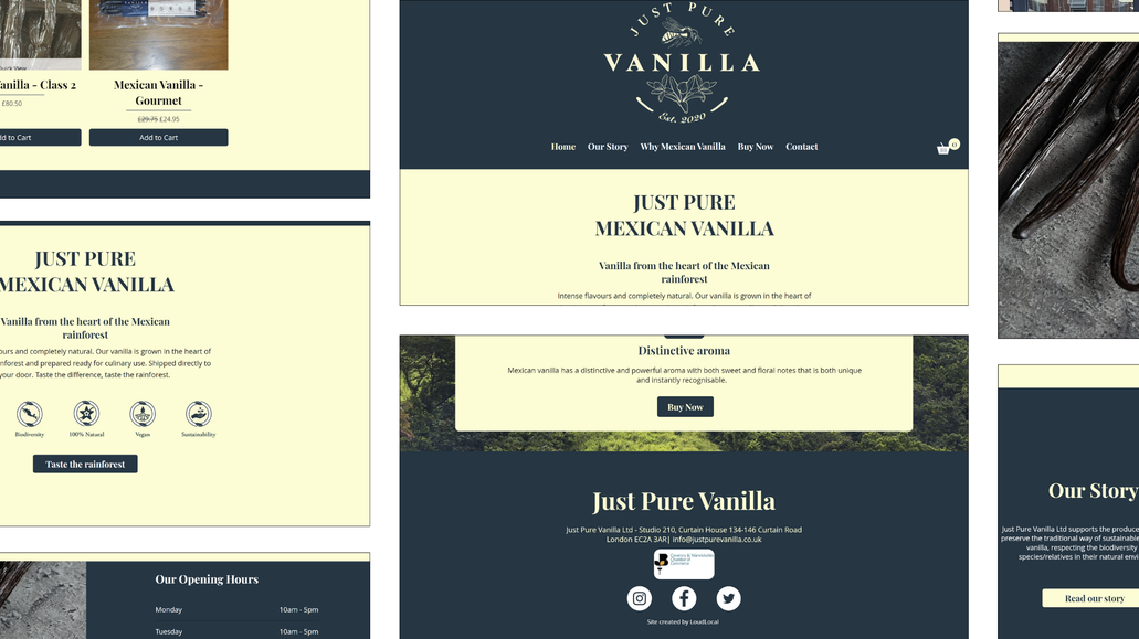 Just Pure Vanilla: E-commerce website build:

Bespoke website design (no template used)
Configuration of images
Setup of e-commerce echo system
Website designed to showcase exclusive products
Support with content creation and content ideas
Setup of contact form
Setup of stock management system
Creation of order confirmation notifications
Setup of email domain and domain registry
Mobile responsiveness
Technical SEO
Support with finding packaging solutions for product
Identifying customer journey to be in line with company values (use of recyclable and environmentally friendly material)
