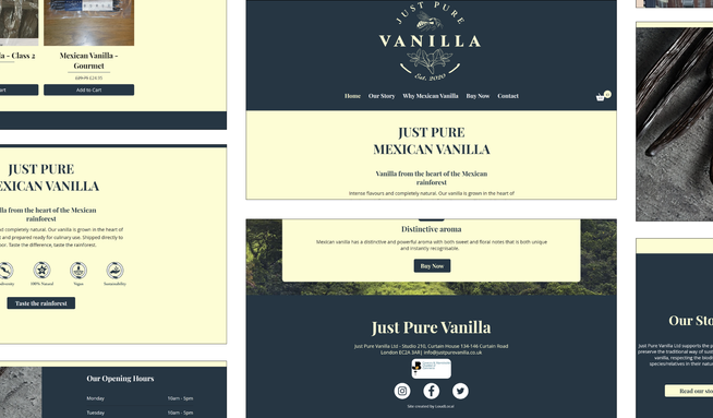 Just Pure Vanilla: E-commerce website build:

Bespoke website design (no template used)
Configuration of images
Setup of e-commerce echo system
Website designed to showcase exclusive products
Support with content creation and content ideas
Setup of contact form
Setup of stock management system
Creation of order confirmation notifications
Setup of email domain and domain registry
Mobile responsiveness
Technical SEO
Support with finding packaging solutions for product
Identifying customer journey to be in line with company values (use of recyclable and environmentally friendly material)
