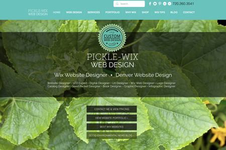 Picklewix.com: Wix Designer Portfolio website showcasing the work of one of the best Wix Designers you can hire! Also offering Logo Design, Graphic Design and SEO. 