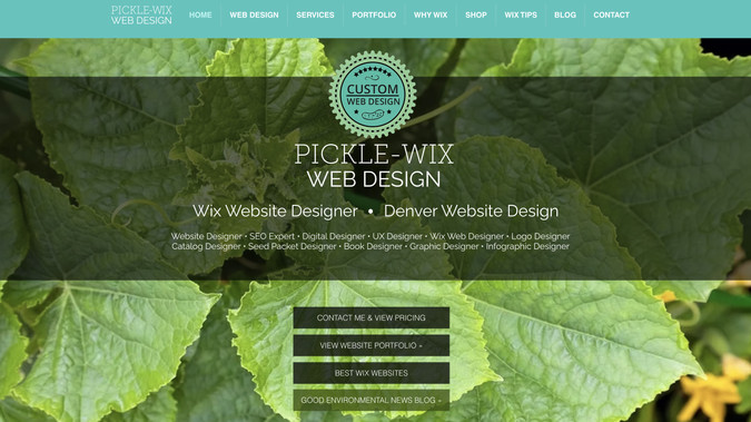Picklewix.com: Wix Designer Portfolio website showcasing the work of one of the best Wix Designers you can hire! Also offering Logo Design, Graphic Design and SEO. 
