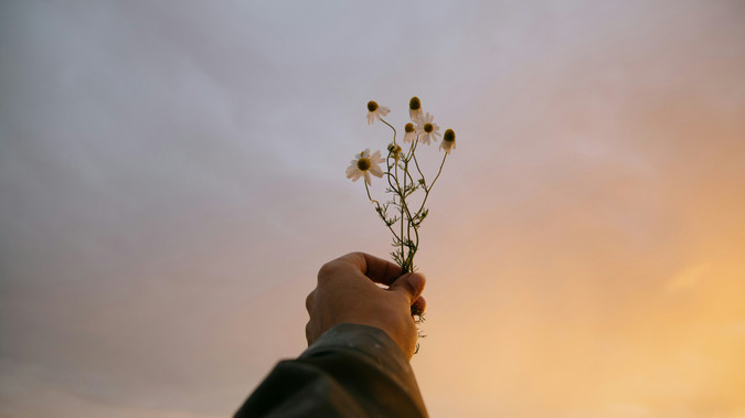 Conscious Earth Medicine: 