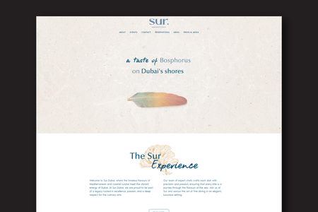 SurDubai: -