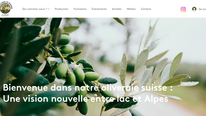 Oliviers de begnins: Le site lesoliviersdebegnins.ch est la vitrine officielle d'une oliveraie suisse audacieuse et écoresponsable, située à Begnins (dans le canton de Vaud), nichée au cœur des vignes entre le lac Léman et les Alpes. Porté par Nathalie et Frédéric, ce projet né en 2022 explore l'acclimatation et la culture de l'olivier en Suisse en réponse au changement climatique.