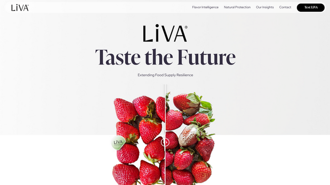 LiVA: סטארט אפ ביו-טכנולגי
מקום שני בארץ בתחרות האתר הכי וואוו