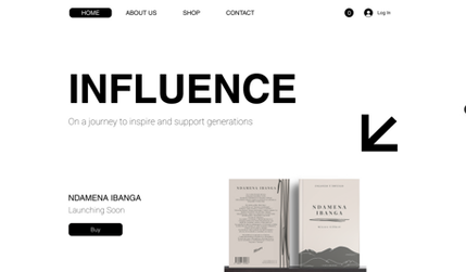 INFLUENCE: undefined
