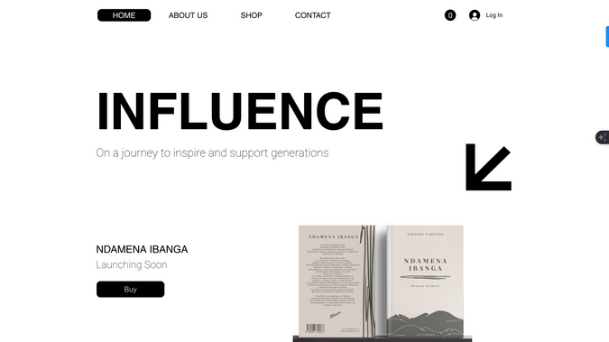 INFLUENCE: undefined