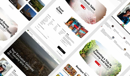 Travel Agency - 2025: Our comprehensive service package involved a multi-faceted approach to transform Ariela's online presence. A crucial initial step was the meticulous migration of all existing content from her previous website. This content was then expertly organized and structured to enhance user navigation and information accessibility. To further streamline her business operations and manage the extensive travel offerings efficiently, we designed and implemented dedicated databases. These databases were pivotal in creating a robust and scalable infrastructure for her agency.