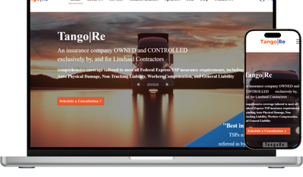 TangoRe: undefined