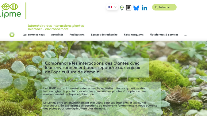 PLANTCOM: Création de l'identité visuelle et du site internet du laboratoire LIPME (INRAE)
