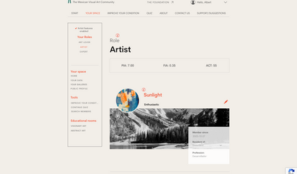 Artimetro.org: We built a social network for artists and art loves
Velo NodeJS backend with MVC architecture
Database development
User account
Module that controls user roles & permissions
Analytics module with machine learning and custom ai methods
Frontend user interface logic
Quiz component

UI/UX and custom design