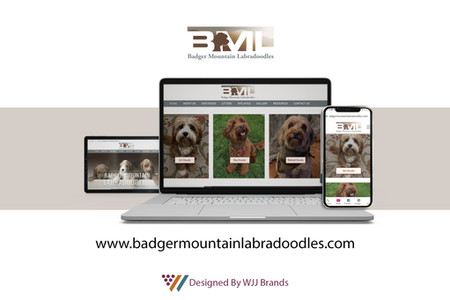 Badger Mountain Labradoodles: 