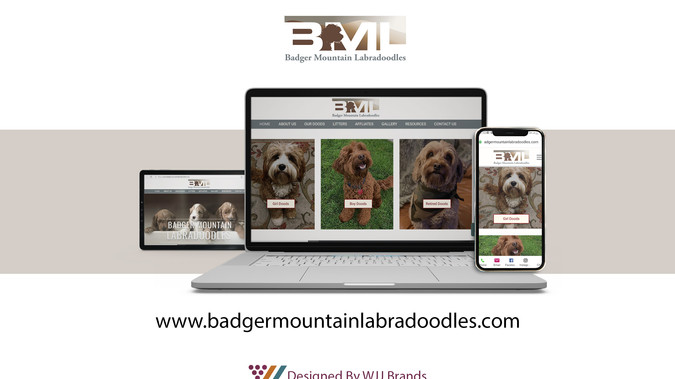 Badger Mountain Labradoodles: 