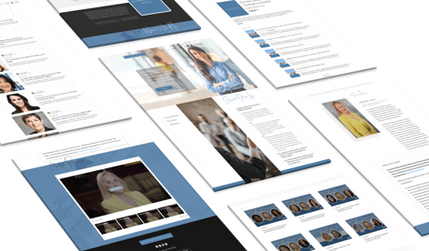 Professional Mentor Website: 