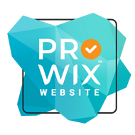 Pro Wix Website