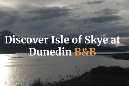 Dunedin B&B: undefined