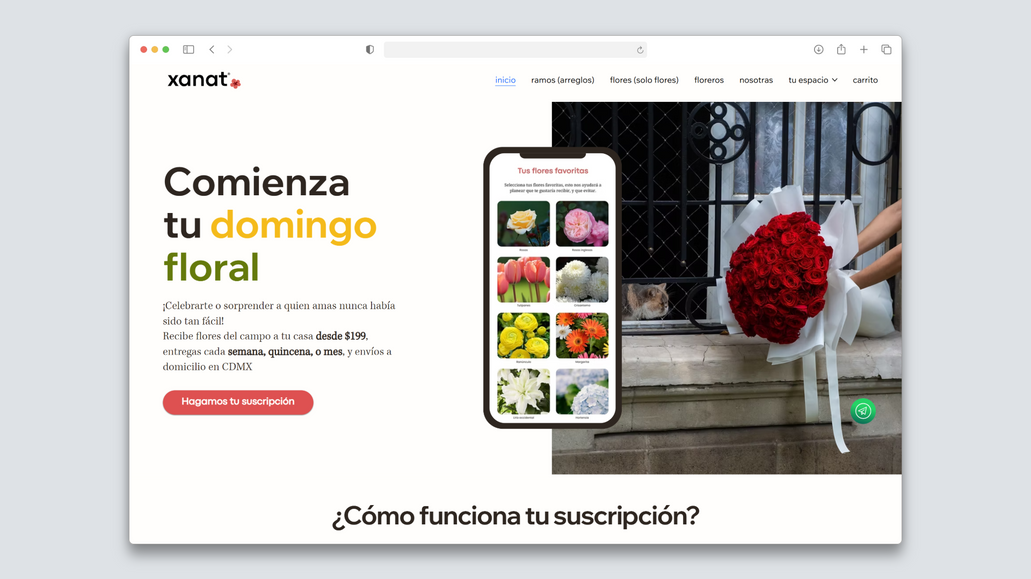 Xanat Flores: End-to-end development of a bespoke subscription engine for a premium flower delivery service, transitioning from a static store to a recurring revenue model.

Key Technical Solutions:

Custom Subscription Engine: Engineered a specialized Velo flow allowing users to personalize flower selection, color palettes, and delivery frequency.

Stripe Integration: Implemented a secure, automated recurring billing system using Stripe API to handle complex subscription cycles.

Tailored User Experience: Built a dynamic, step-by-step selection interface that maps user preferences directly to the checkout process.

Backend Automation: Developed custom workflows to manage recurring orders and customer data efficiently.

Result: A scalable, high-conversion platform that automates the logistics of personalized recurring flower deliveries.