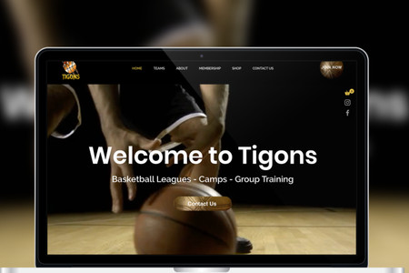 Basketball Coach: Dynamic website design with paid subscription