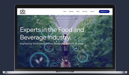AGRIABELL Consulting Company: Logo design & Wix Studio Website Design 