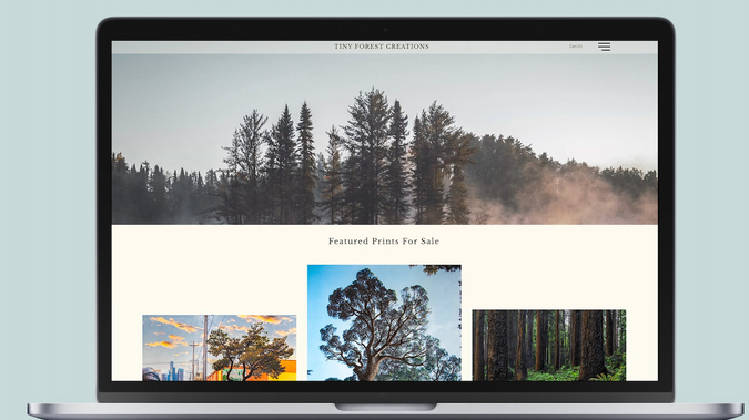 Artist Portfolio: undefined