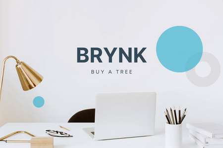 Brynk: At Dude Lemon LLC, we designed and developed an innovative website for Brynk, a tree planting company dedicated to helping users offset their carbon footprint by buying trees. Our minimalist design, seamless booking system, and integrated chat functionality combine to create a user-friendly, eco-conscious platform that enhances brand engagement and drives meaningful environmental impact.