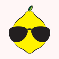 Dude Lemon LLC