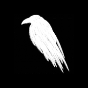 Raven Consulting